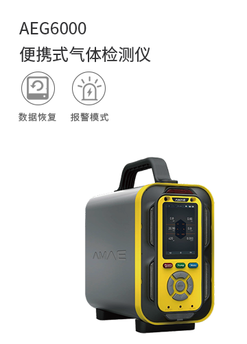 AEG6000便攜式氣體檢測儀
