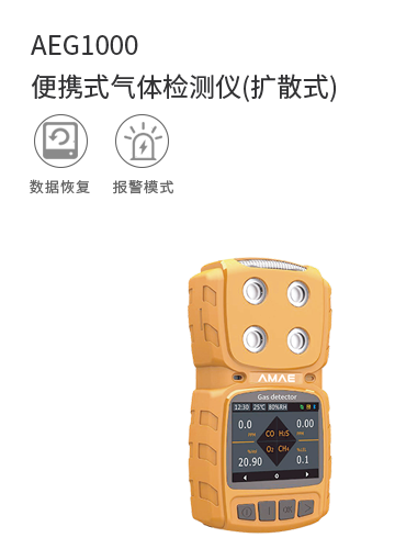 AEG1000便攜式氣體檢測儀(擴散式)